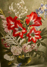 Load image into Gallery viewer, Striped Lily Lithograph