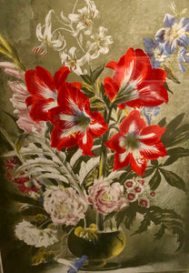 Striped Lily Lithograph
