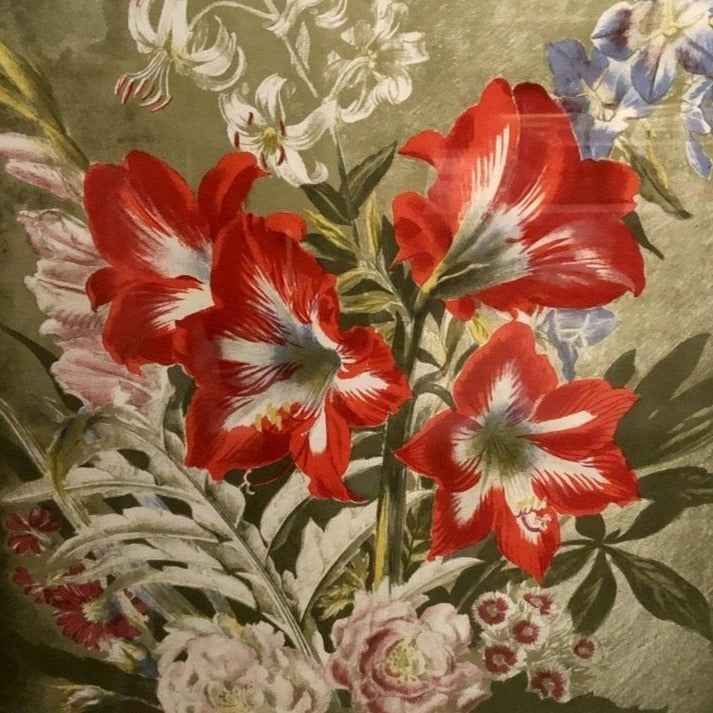 Striped Lily Lithograph