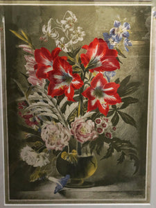 Striped Lily Lithograph